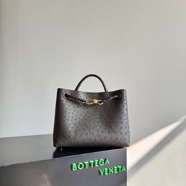 Bottega Veneta Andiamo 766016 Fondant